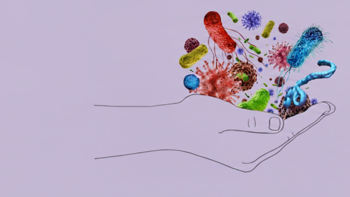 Antimicrobial stewardship in veterinary practice