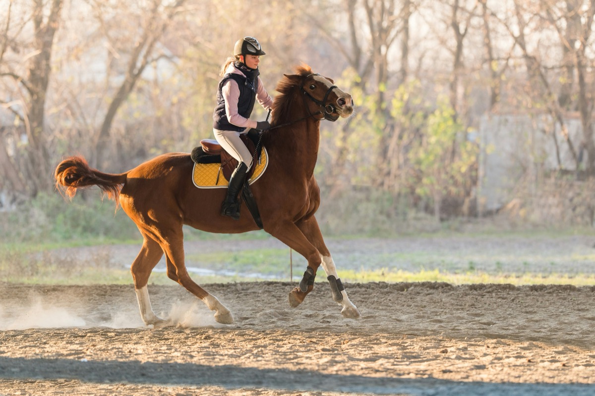 Rider cantering in arena