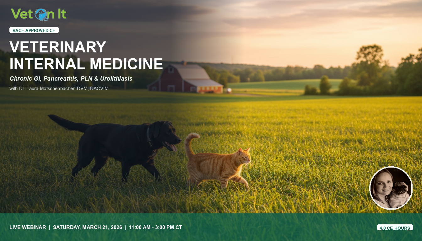 Dr. Laura Motschenbacher